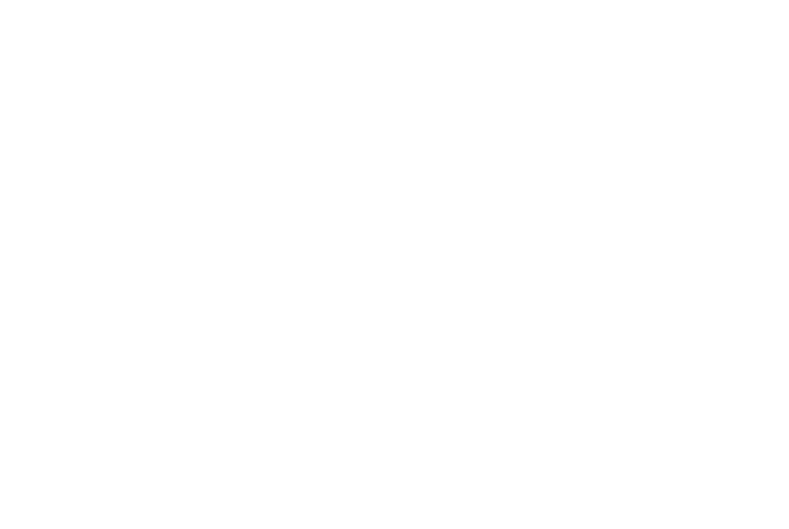Horizon Properties